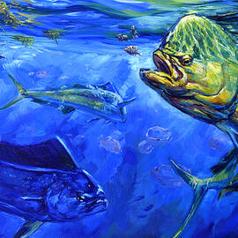 Mahi and Moon Jellyfish by Tom Dauria