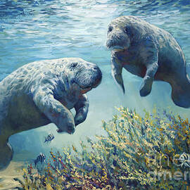Manatee's by Laurie Snow Hein