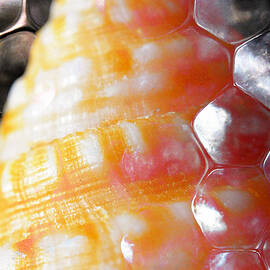 Merge 2 by Skip Hunt