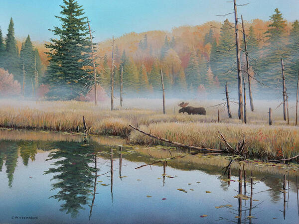 Moose in Misty Autumn Landscape Wall Art