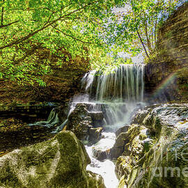 Misty Rainbow Waterfall Tanyard Creek