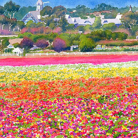 New Carlsbad Flower Fields by Mary Helmreich