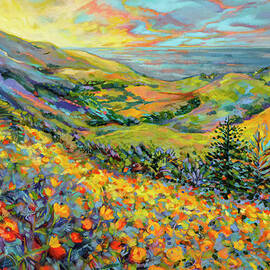 Novato Sunrise by Jen Norton