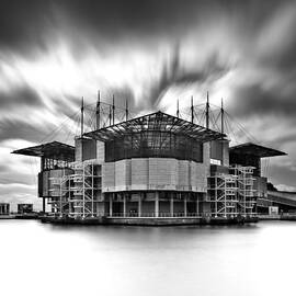 Oceanarium by Jorge Maia