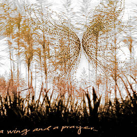 On a Wing and a Prayer by Holly Kempe