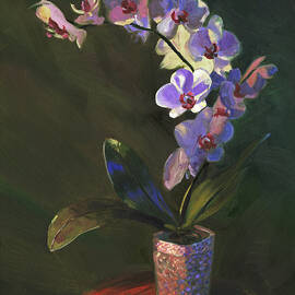 Phalaenopsis Orchid by Steve Simon
