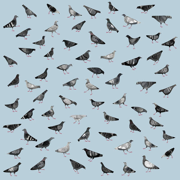 Pattern of Illustrated Pigeons Wall Art