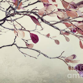 pink blueberry leaves by Priska Wettstein