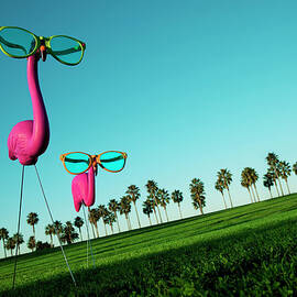 Plastic Pink Flamingos On A Green Lawn by Skodonnell