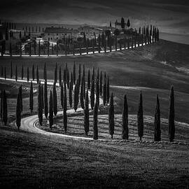 Podere Baccoleno by Alessandro Traverso