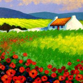 Poppy Field - Ireland by John  Nolan