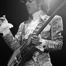 Prince Close-Up by DMI