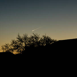 Once in a life time by Johnny Lam