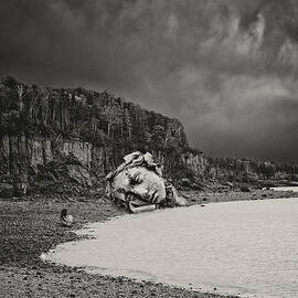 Relic by Jeffrey Hummel