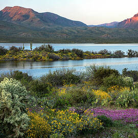 Roosevelt Lake at Sunset in the Springtime by Dave Dilli