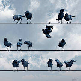 Show Off by Cynthia Decker