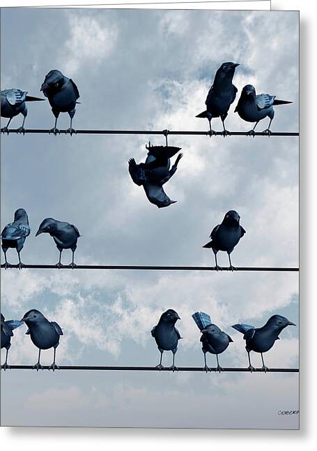 Birds on a Wire Greeting Card