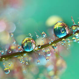 Smokey Rainbow Drops by Sharon Johnstone