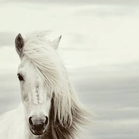 ísold by Gigja Einarsdottir