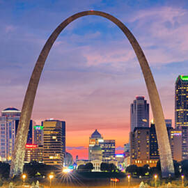 St. Louis Skyline by Michael Zheng