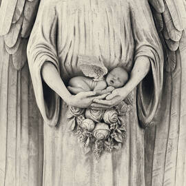 Jonti and the Stone Angel by Anne Geddes