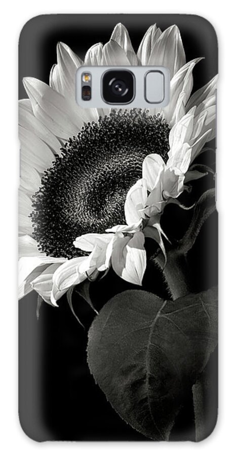 Black and White Sunflower Galaxy Case