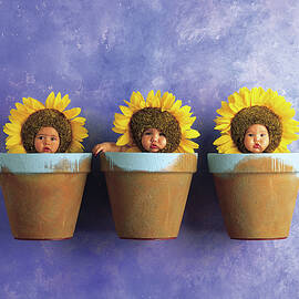 Sunflower Pots by Anne Geddes
