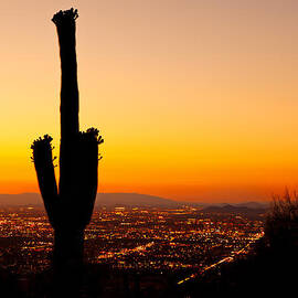 Sunset on Phoenix With Saguaro Cactus by Good Focused