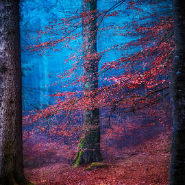 Supernatural (into The Mystic #3) by Matt Anderson