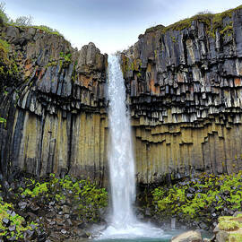 Svartifoss Waterfall Iceland