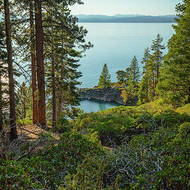 Tahoe Blues 19 by Ryan Weddle