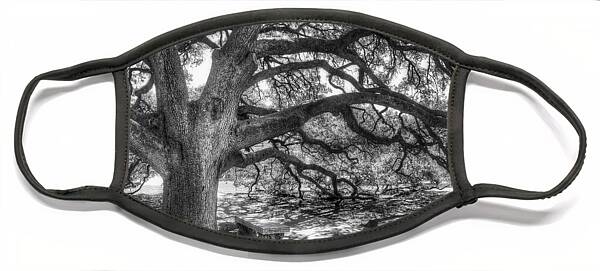 Majestic Sprawling Oak Tree Face Mask