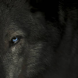 The final hour  by Paul Neville