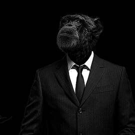 The interview by Paul Neville