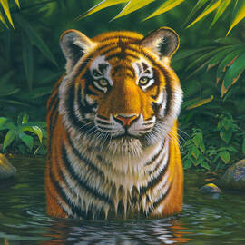 Tiger Pool by MGL Licensing