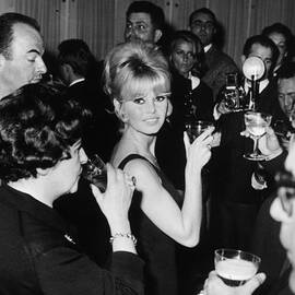 Toast Of The Town by Keystone