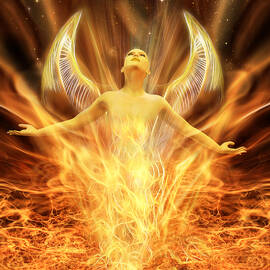 Transcend by John Edwards