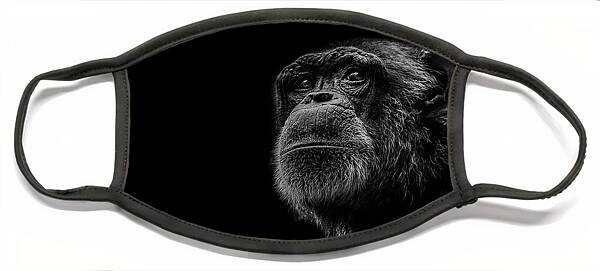 Contemplative Chimpanzee Portrait Face Mask