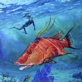 Tuppen's Hogfish by Tom Dauria