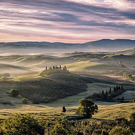 Tuscan Mist by Matthew Train