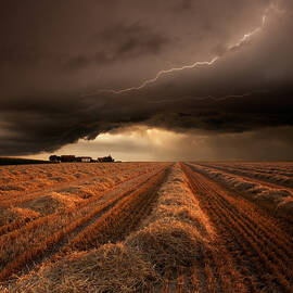 Untitled by Franz Schumacher