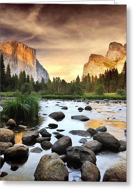 Nature Greeting Cards for Sale