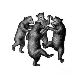 Vintage Dancing Bears by Edward Fielding