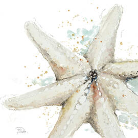 Water Starfish by Patricia Pinto