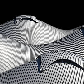 Wave by Mathilde Guillemot