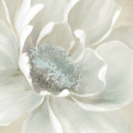 Winter Bloom 2 by Carol Robinson