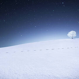 Winter Landscape by Bess Hamiti