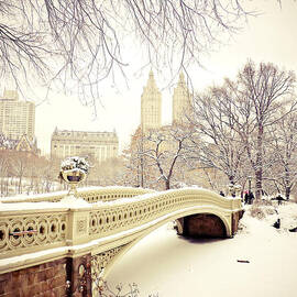 Winter - New York City - Central Park by Vivienne Gucwa