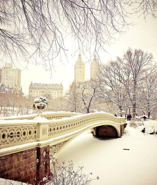 Winter Scene in Central Park Wall Art