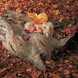 Woodland Fairy by Anne Geddes